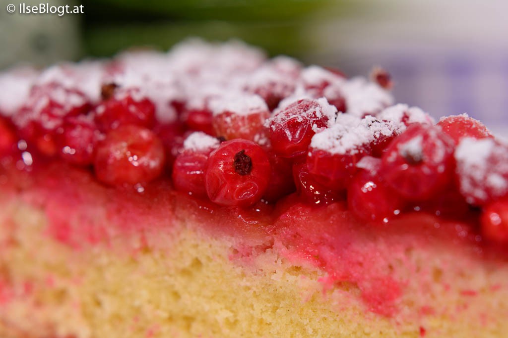 Ribiselkuchen-0005